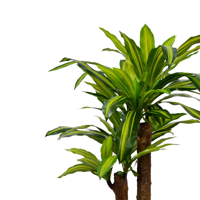 Διακοσμητικό φυτό Dracaena σε γλάστρα Inart πράσινο pp Υ110εκ - Image 2