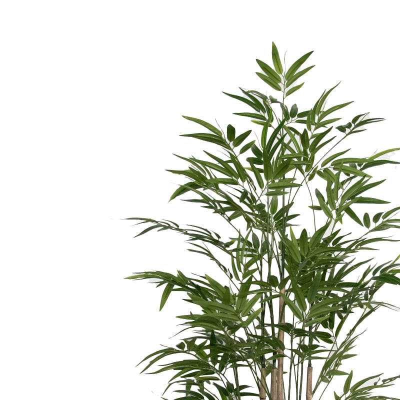 Διακοσμητικό φυτό Bamboo I σε γλάστρα Inart πράσινο pp Υ150εκ - Image 2