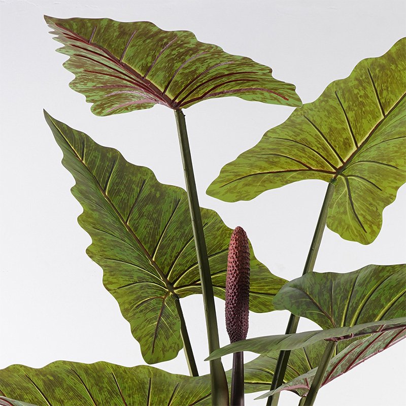 Διακοσμητικό φυτό σε γλάστρα Wentii Inart πράσινο Φ130x180εκ - Image 2