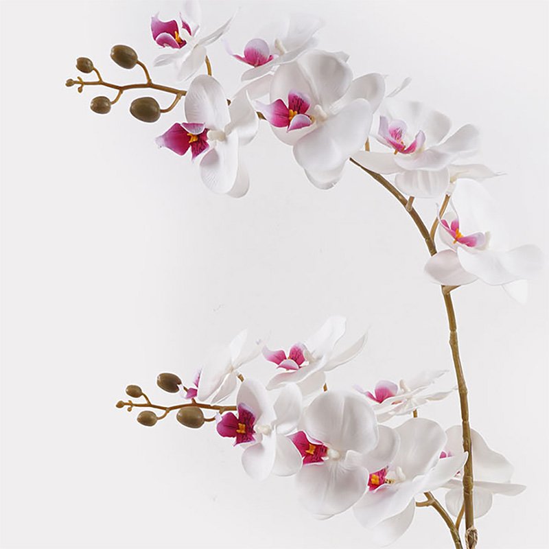 Διακοσμητικό φυτό σε γλάστρα Οrchid White Inart 36x17x65εκ - Image 2