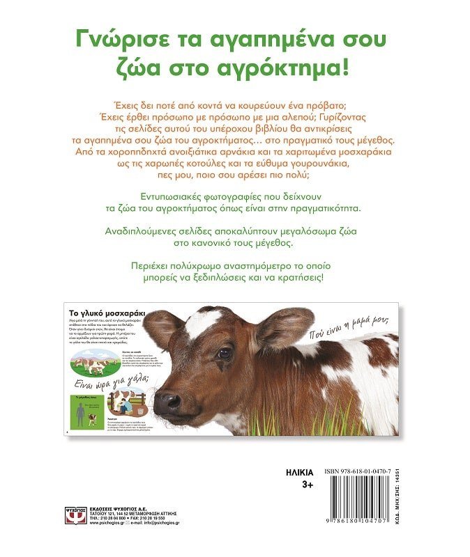 ΤΑ ΖΩΑ ΤΟΥ ΑΓΡΟΚΤΗΜΑΤΟΣ ΣΕ ΠΡΑΓΜΑΤΙΚΟ ΜΕΓΕΘΟΣ - Image 2