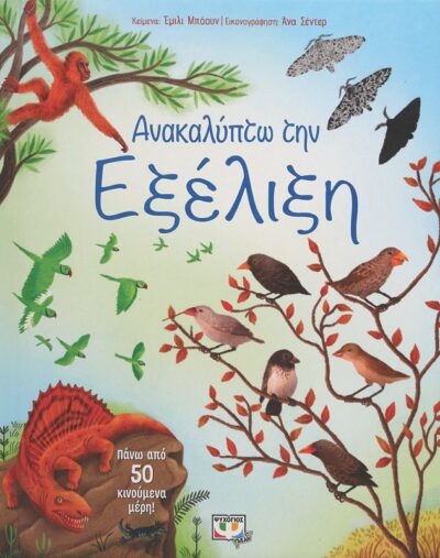 ΑΝΑΚΑΛΥΠΤΩ ΤΗΝ ΕΞΕΛΙΞΗ