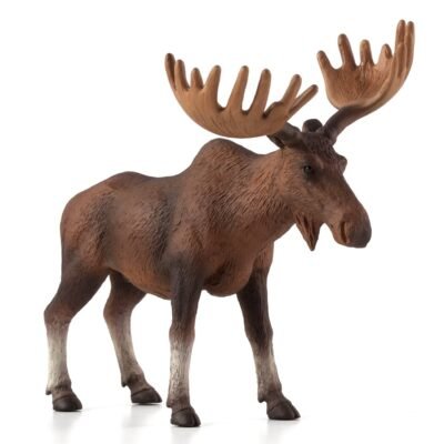 ANIMAL PLANET-ΆΛΚΗ-XL