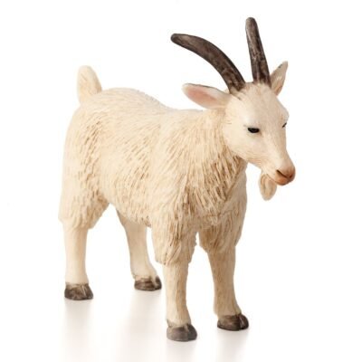 ANIMAL PLANET-ΤΡΑΓΟΣ-MEDIUM