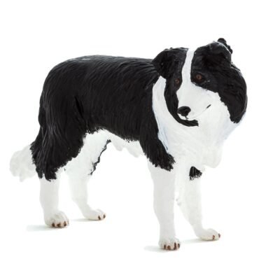 ANIMAL PLANET-ΣΚΥΛΟΣ ΜΠΟΡΝΤΕΡ ΚΟΛΙ-MEDIUM