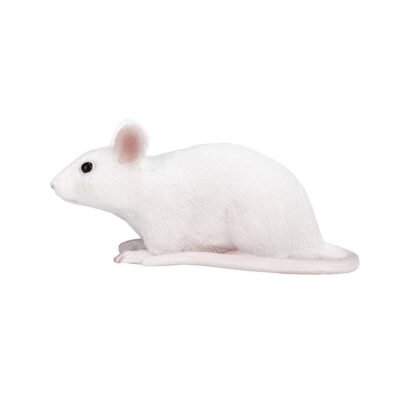 ANIMAL PLANET-ΠΟΝΤΙΚΙ-SMALL